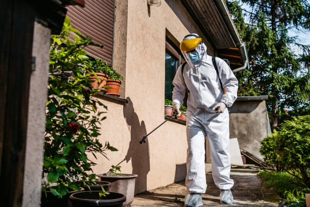 Best Pest Prevention Services  in Cordes Lakes, AZ