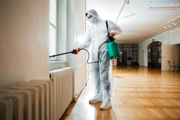 Pest Control Cost in Cordes Lakes, AZ